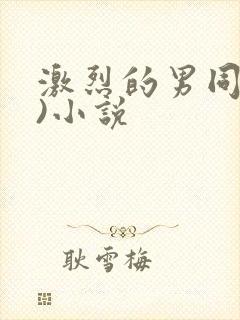 激烈的男同(h)小说