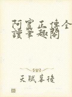 阿宾正传全文阅读笔趣阁