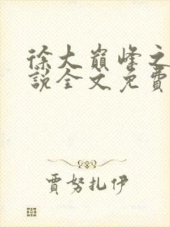 徐大巅峰之路小说全文免费阅读