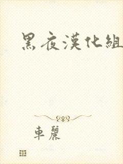 黑夜汉化组