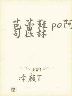 芭蕾鞋 po阿司匹林