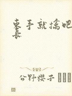 束手就擒吧韩队长