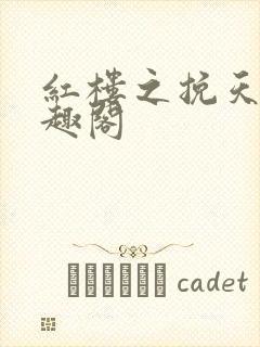 红楼之挽天倾笔趣阁