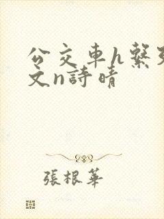 公交车h系列辣文n诗晴