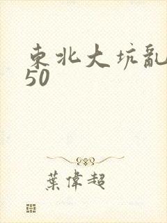 东北大坑乱1—50