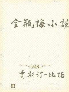金瓶梅小说