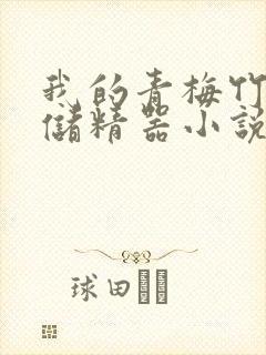 我的青梅竹马是储精器小说