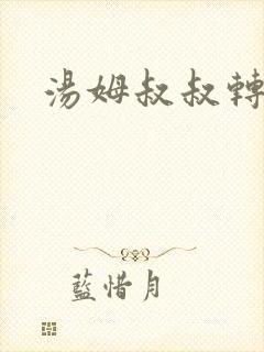 汤姆叔叔转接口