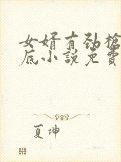 女婿有劲枪枪到底小说免费阅读