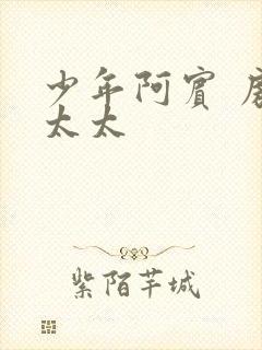 少年阿宾 房东太太