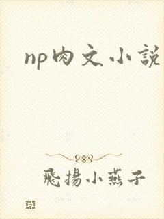 np肉文小说