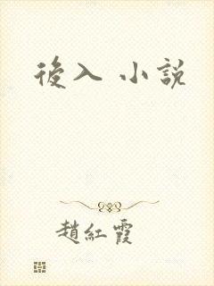 后入 小说