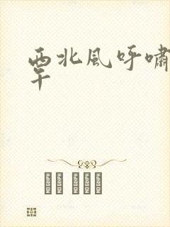 西北风呼啸的中午