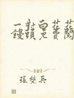 一对白花花的大馒头免费阅读