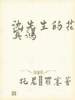 沈先生的花式调冥鸿