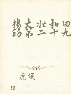 杨大壮和田桂花的第二十九