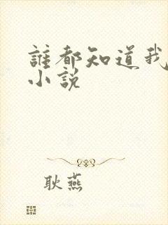 谁都知道我爱你小说