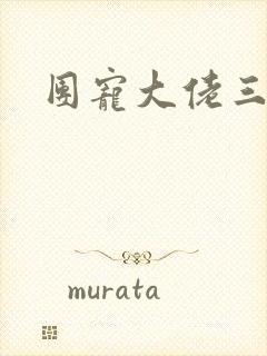 团宠大佬三岁半