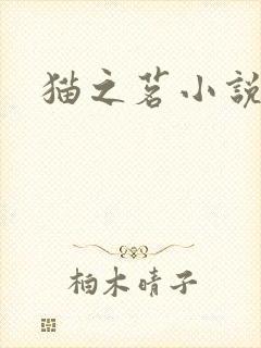 猫之茗小说
