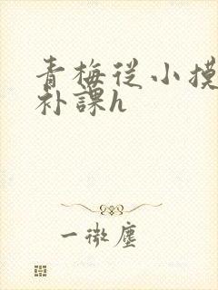 青梅从小摸到大补课h