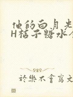 他的白月光HVH桔子糖水全文