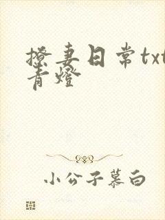 撩妻日常txt青灯