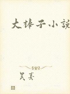 大棒子小说