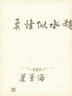 柔情似水赵雅儿