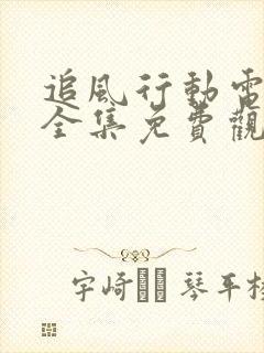 追风行动电视剧全集免费观看