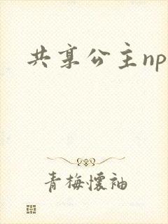 共享公主npc