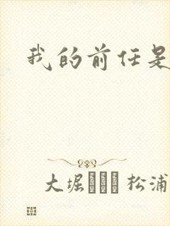 我的前任是极品