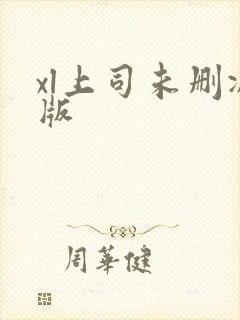 xl上司未删减版