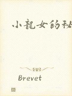 小龙女的秘密