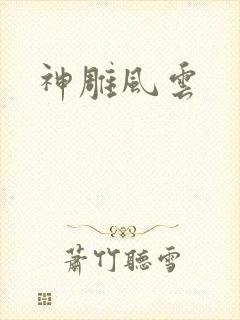 神雕风云