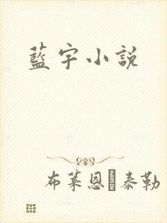 蓝宇小说