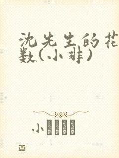 沈先生的花式调数(小非)