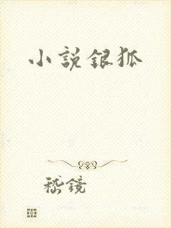 小说银狐