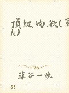 顶级肉欲(军高h)