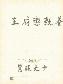 王府惩教养日常