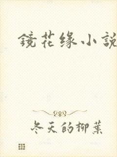 镜花缘小说