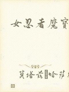 女忍者魔宝传