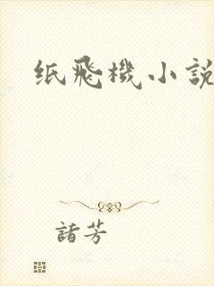 纸飞机小说