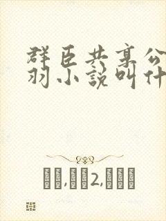 群臣共享公主银羽小说叫什么