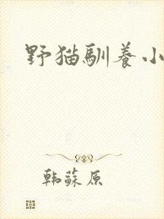 野猫驯养小说