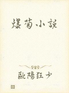 爆菊小说