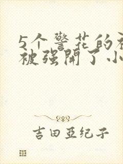 5个警花的初苞被强开了小说