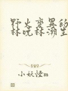 野火变异的父爱林晚林潮生