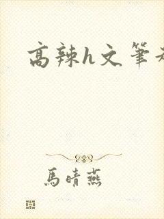 高辣h文笔趣阁