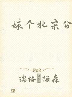 嫁个北宋公务员