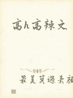 高h高辣文
